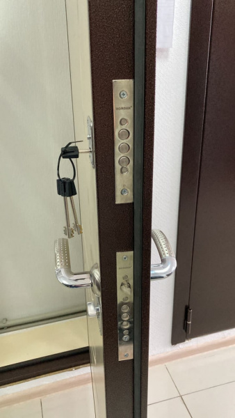 ДЕЛЬТА БЕЛЕНЫЙ ДУБ ДЕЛЬТА БЕЛЕНЫЙ ДУБ